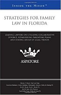 Strategies for Family Law in Florida (Paperback)