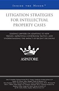 Litigation Strategies for Intellectual Property Cases (Paperback)