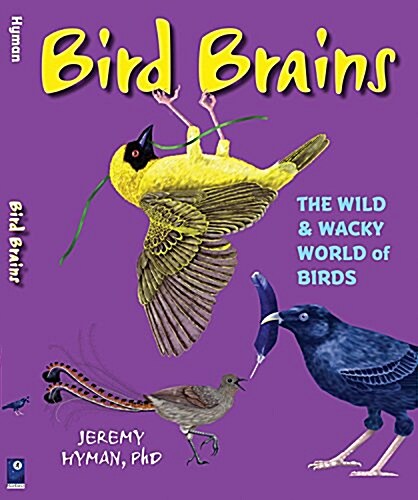 Bird Brains: The Wild & Wacky World of Birds (Hardcover)