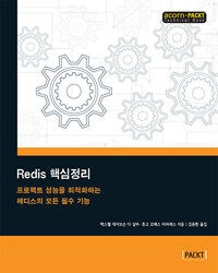 Redis 핵심정리 :프로젝트 성능을 최적화하는 레디스의 모든 필수 기능 