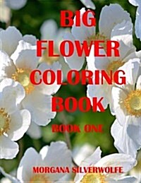 Big Flower Coloring Book (Paperback, CLR, CSM)