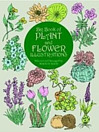 Big Book of Plant and Flower Illustrations (Paperback)