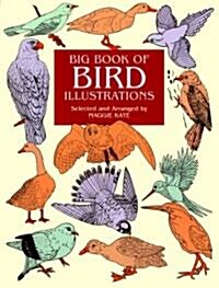 Big Book of Bird Illustrations (Paperback)