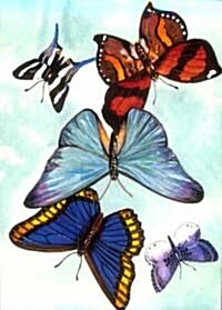 Butterfly Notebook (Paperback)