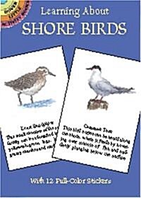 Learning about Shore Birds [With Stickers] (Paperback)