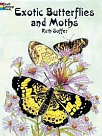 Exotic Butterflies and Moths (Paperback)