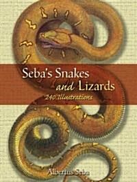 Sebas Snakes and Lizards: 240 Illustrations (Paperback)