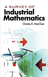 A Survey of Industrial Mathematics (Paperback)