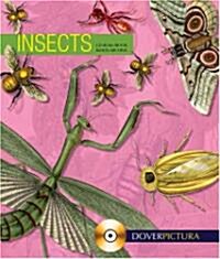 Insects [With CDROM] (Paperback)