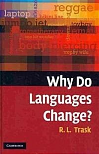 Why Do Languages Change? (Hardcover)