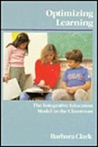 Optimizing Learning (Paperback)