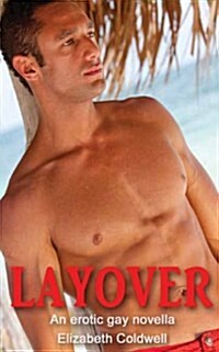 Layover : An Erotic Gay Novella (Paperback)