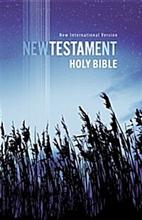 Outreach New Testament-NIV (Paperback)