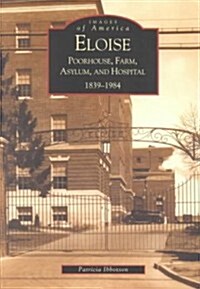 Eloise: Poorhouse, Farm, Asylum and Hospital 1839-1984 (Paperback)