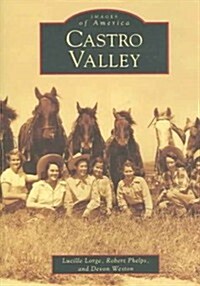 Castro Valley (Paperback)