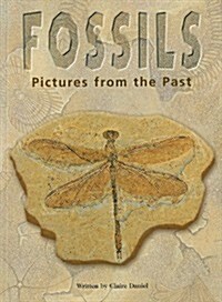 Steck-Vaughn Pair-It Books Proficiency Stage 5: Leveled Reader Fossils: Pictures from the Past, Nonfiction Story Book (Paperback)