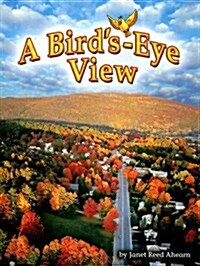 [중고] A Birds-Eye View (Paperback)