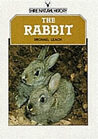 The Rabbit (Paperback)