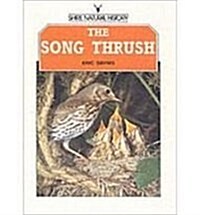 The Song Thrush (Paperback)
