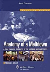 Anatomy of a Meltdown: A Financial Biography of the Subprime Mortgage Meltdown (Paperback)