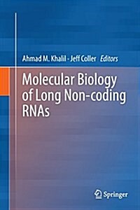Molecular Biology of Long Non-Coding Rnas (Paperback, Softcover Repri)