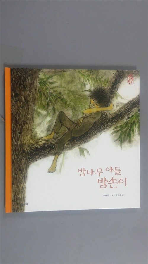 밤나무 아들 밤손이 표지이미지