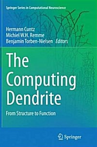 The Computing Dendrite: From Structure to Function (Paperback, Softcover Repri)