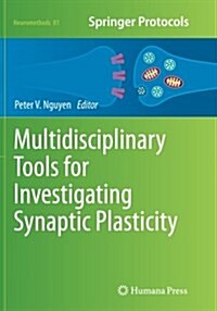 Multidisciplinary Tools for Investigating Synaptic Plasticity (Paperback, Softcover Repri)