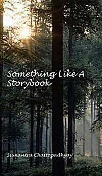 Something Like a Storybook (Hardcover)