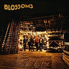 [수입] Blossoms - Blossoms [LP]