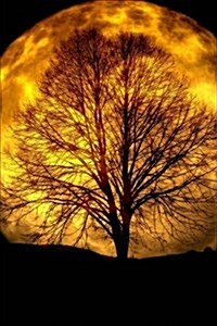 Tree Silhouetted Against a Full Moon Journal: 150 Page Lined Notebook/Diary (Paperback)