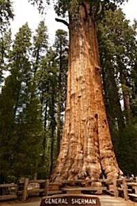 General Sherman in Sequoia National Park, California: Blank 150 Page Lined Journal for Your Thoughts, Ideas, and Inspiration (Paperback)