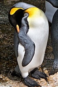King Penguin Napping, for the Love of Animals: Blank 150 Page Lined Journal for Your Thoughts, Ideas, and Inspiration (Paperback)