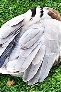 Bar Headed Goose, Birds of the World: Blank 150 Page Lined Journal for Your Thoughts, Ideas, and Inspiration (Paperback)