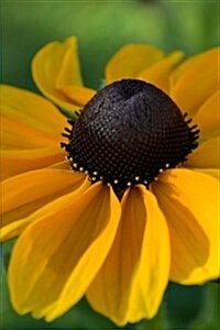 Beautiful Orange Rudbeckia Bloom, for the Love of Flowers: Blank 150 Page Lined Journal for Your Thoughts, Ideas, and Inspiration (Paperback)