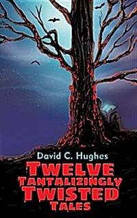 Twelve Tantalizingly Twisted Tales (Paperback)