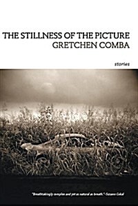 The Stillness of the Picture (Paperback)