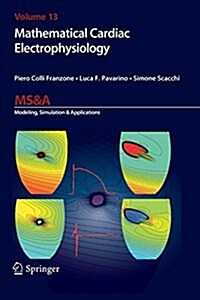 Mathematical Cardiac Electrophysiology (Paperback, Softcover Repri)