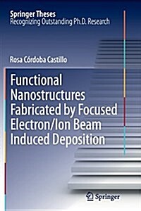 Functional Nanostructures Fabricated by Focused Electron/Ion Beam Induced Deposition (Paperback, Softcover Repri)