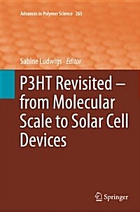 P3ht Revisited - From Molecular Scale to Solar Cell Devices (Paperback, Softcover Repri)