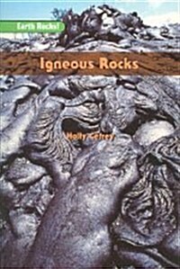 Igneous Rocks (Paperback)