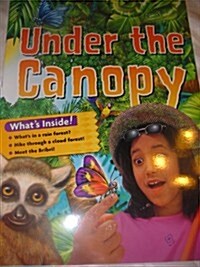 Rigby on Our Way to English: Big Book Grade 4 Under the Canopy (Paperback)