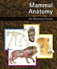 Mammal Anatomy: An Illustrated Guide (Hardcover)