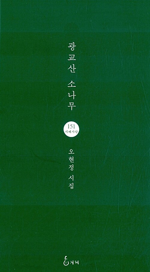 광교산 소나무