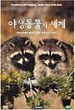 야생동물의 세계 12