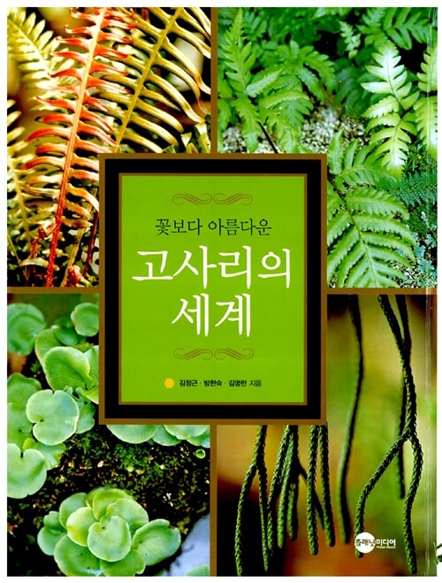 꽃보다 아름다운 고사리의 세계