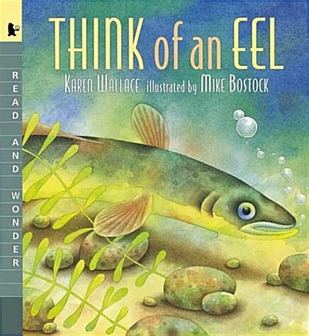 Think of an Eel: Big Book: Read and Wonder (Paperback)