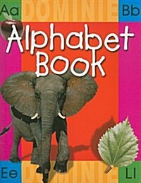 Alphabet Book (Paperback)