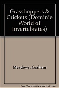 Grasshoppers & Crickets (Paperback)