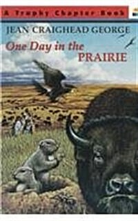 One Day in the Prairie (Prebound)
